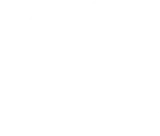 Leartes Studios